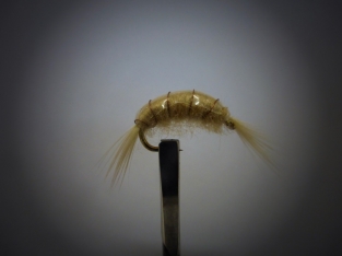 Size 16 Gammarus Weighted Tan